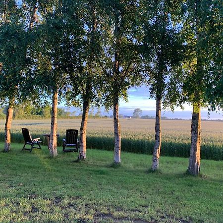 Stunning Romantic Cabin Close To Baltic See Idestrup Εξωτερικό φωτογραφία