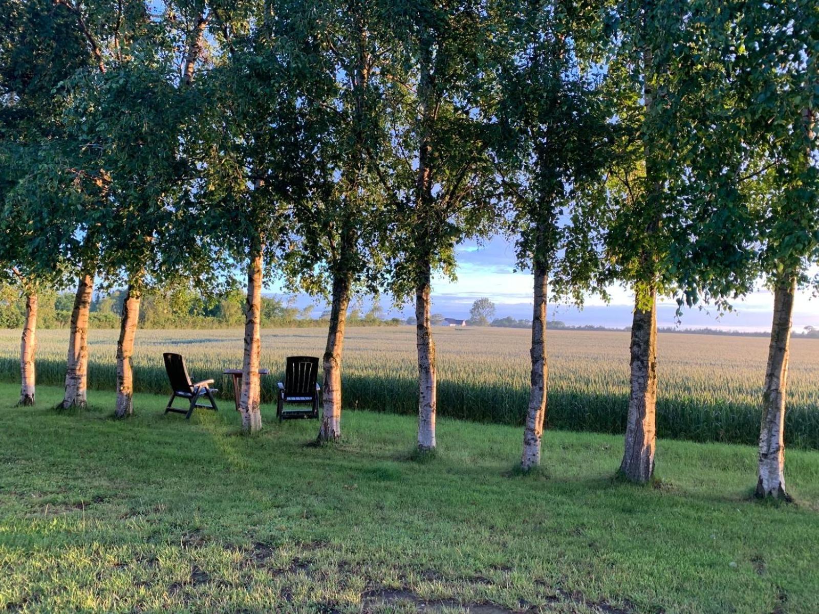 Stunning Romantic Cabin Close To Baltic See Idestrup Εξωτερικό φωτογραφία